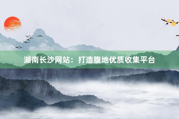 湖南长沙网站：打造腹地优质收集平台