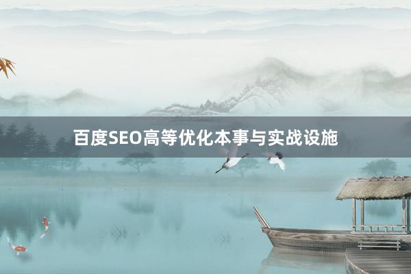 百度SEO高等优化本事与实战设施