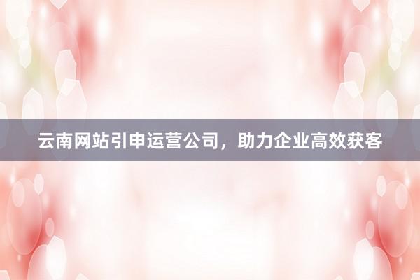 云南网站引申运营公司，助力企业高效获客