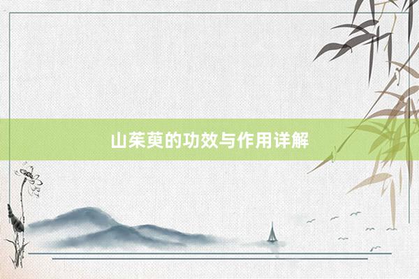 山茱萸的功效与作用详解