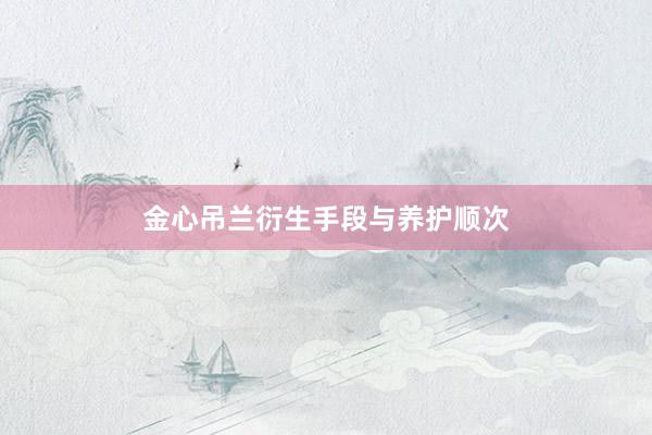 金心吊兰衍生手段与养护顺次